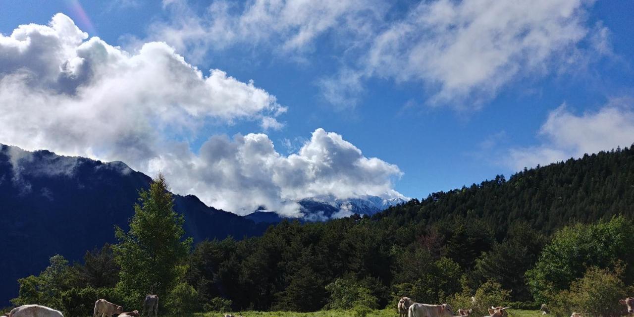Bordes Pirineu, Costuix Hotel Areu Buitenkant foto
